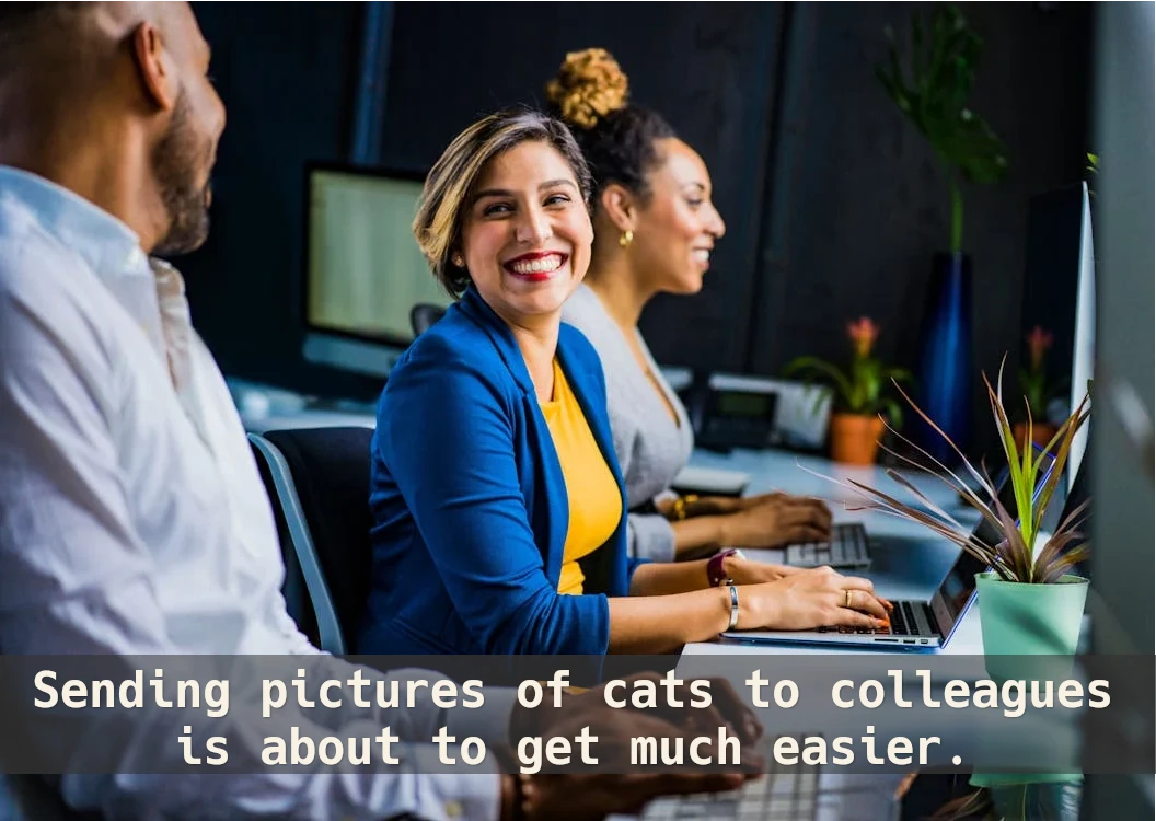Picture of happy colleagues working on laptops